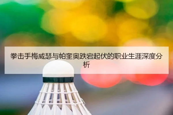 拳击手梅威瑟与帕奎奥跌宕起伏的职业生涯深度分析