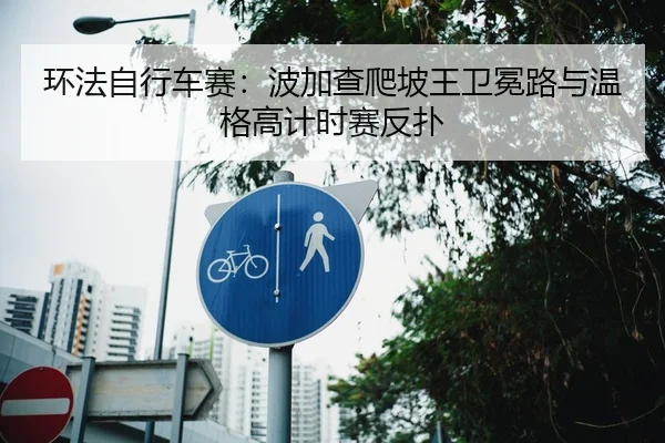环法自行车赛：波加查爬坡王卫冕路与温格高计时赛反扑