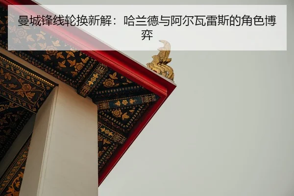 man-cheng-feng-xian-lun-huan-xin-jie-ha-lan-de-yu-a-er-wa-lei-si-de-jue-se-bo-yi-2-507.jpg
